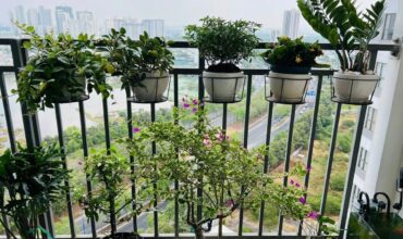 cho thuê 3 phòng ngủ 89m2 the sun avenue