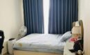 Cho thuê căn hộ 1 phòng ngủ 51m2 The Sun Avenue